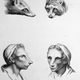 Illustration for article titled Baroque-Era Drawings Reveal Early Ideas About Evolution